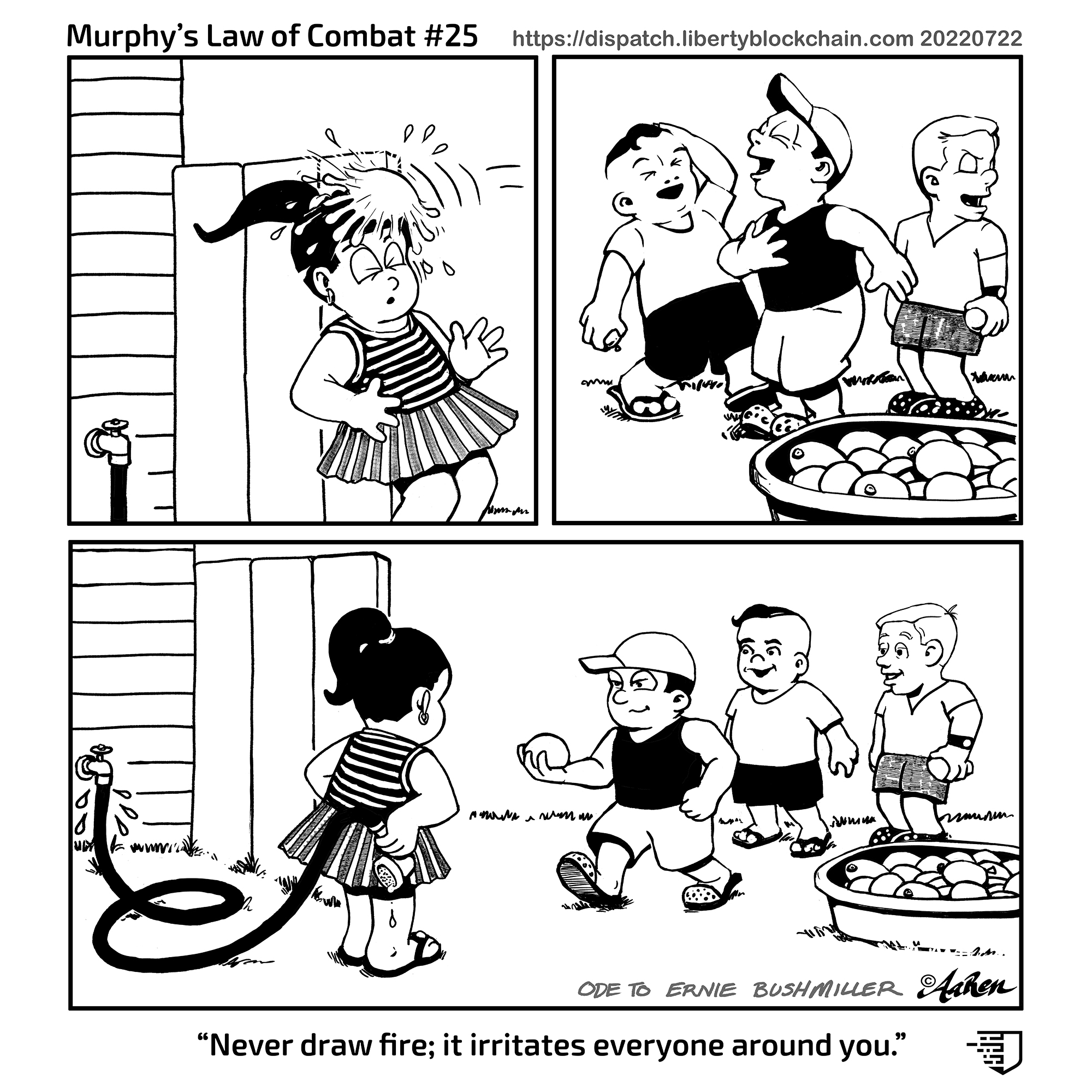 Murphy's Law of Combat 25